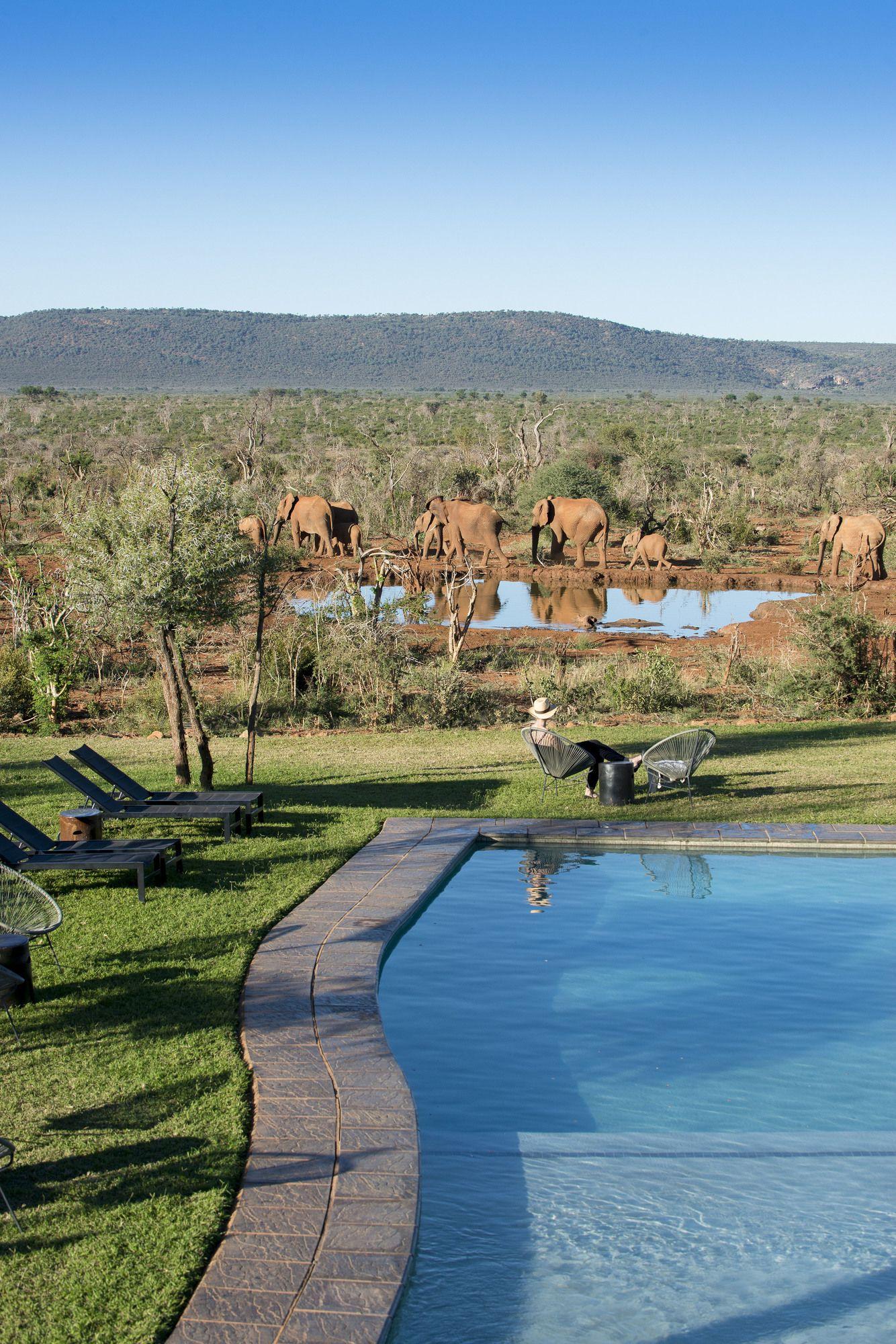 Madikwe Safari Lodge Madikwe Game Reserve Eksteriør bilde