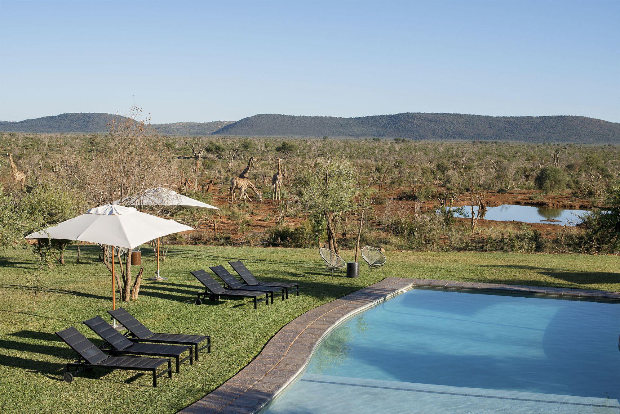 Madikwe Safari Lodge Madikwe Game Reserve Eksteriør bilde
