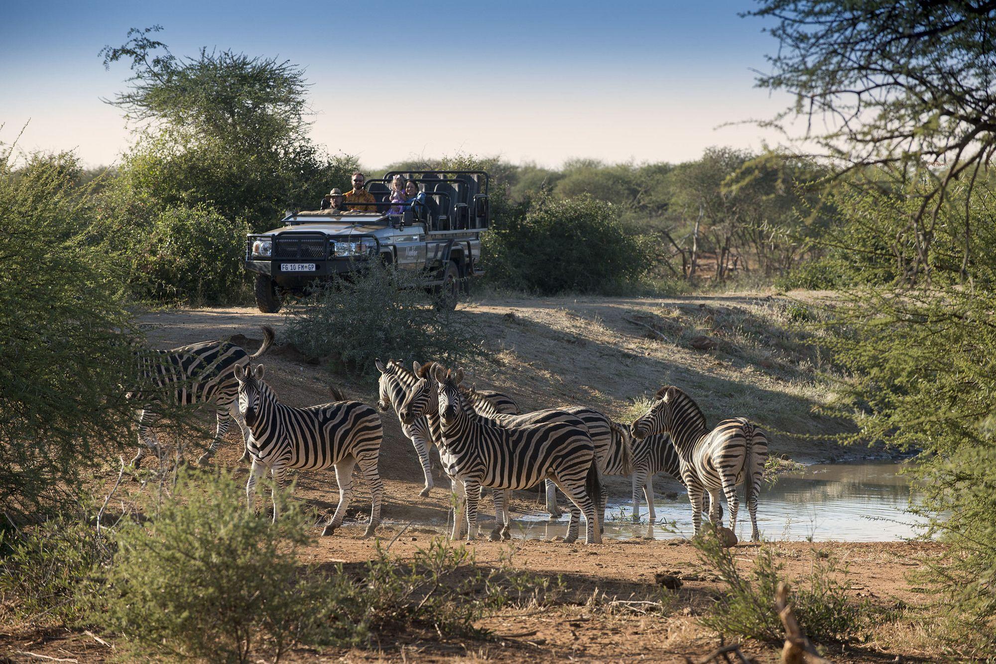 Madikwe Safari Lodge Madikwe Game Reserve Eksteriør bilde