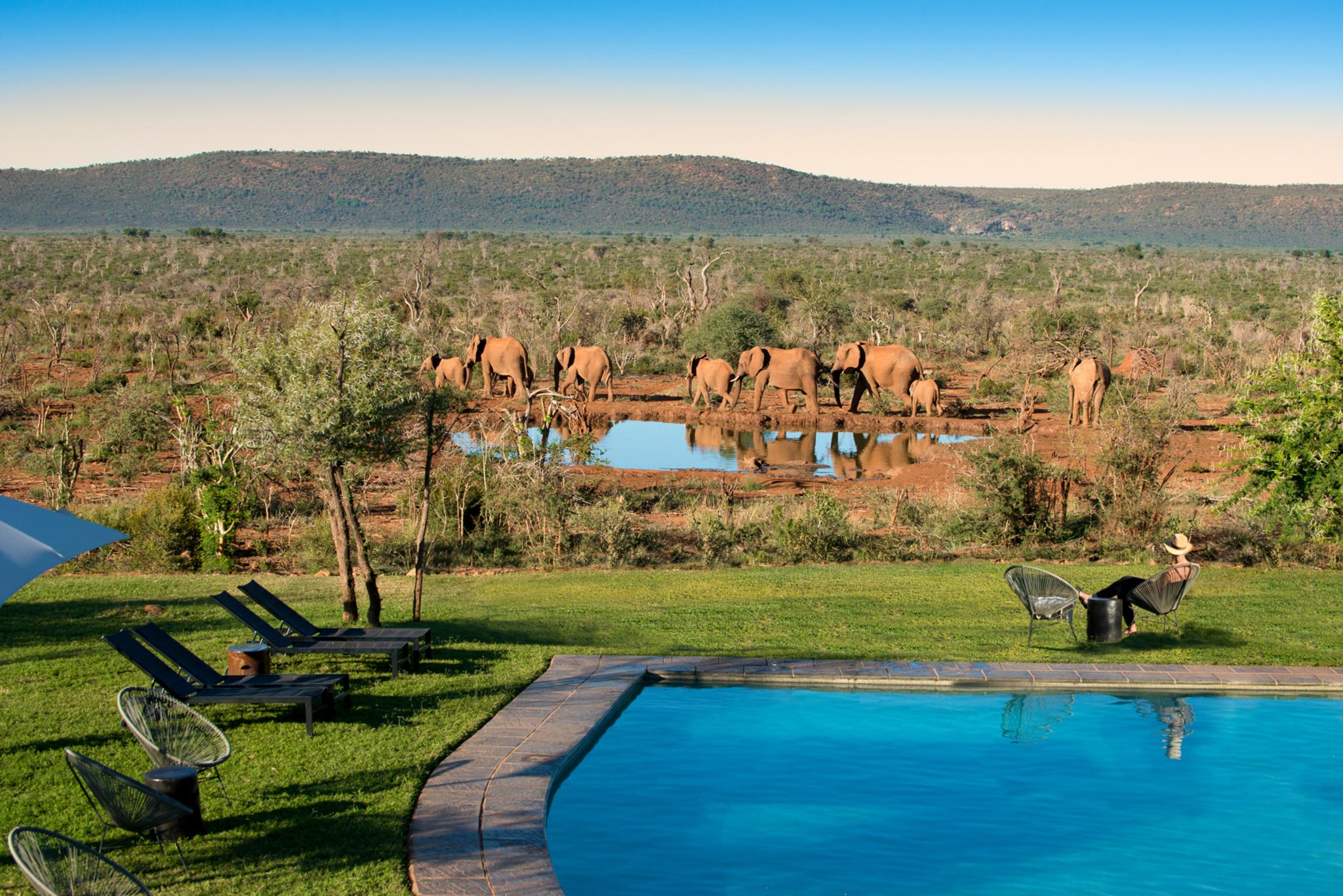 Madikwe Safari Lodge Madikwe Game Reserve Eksteriør bilde