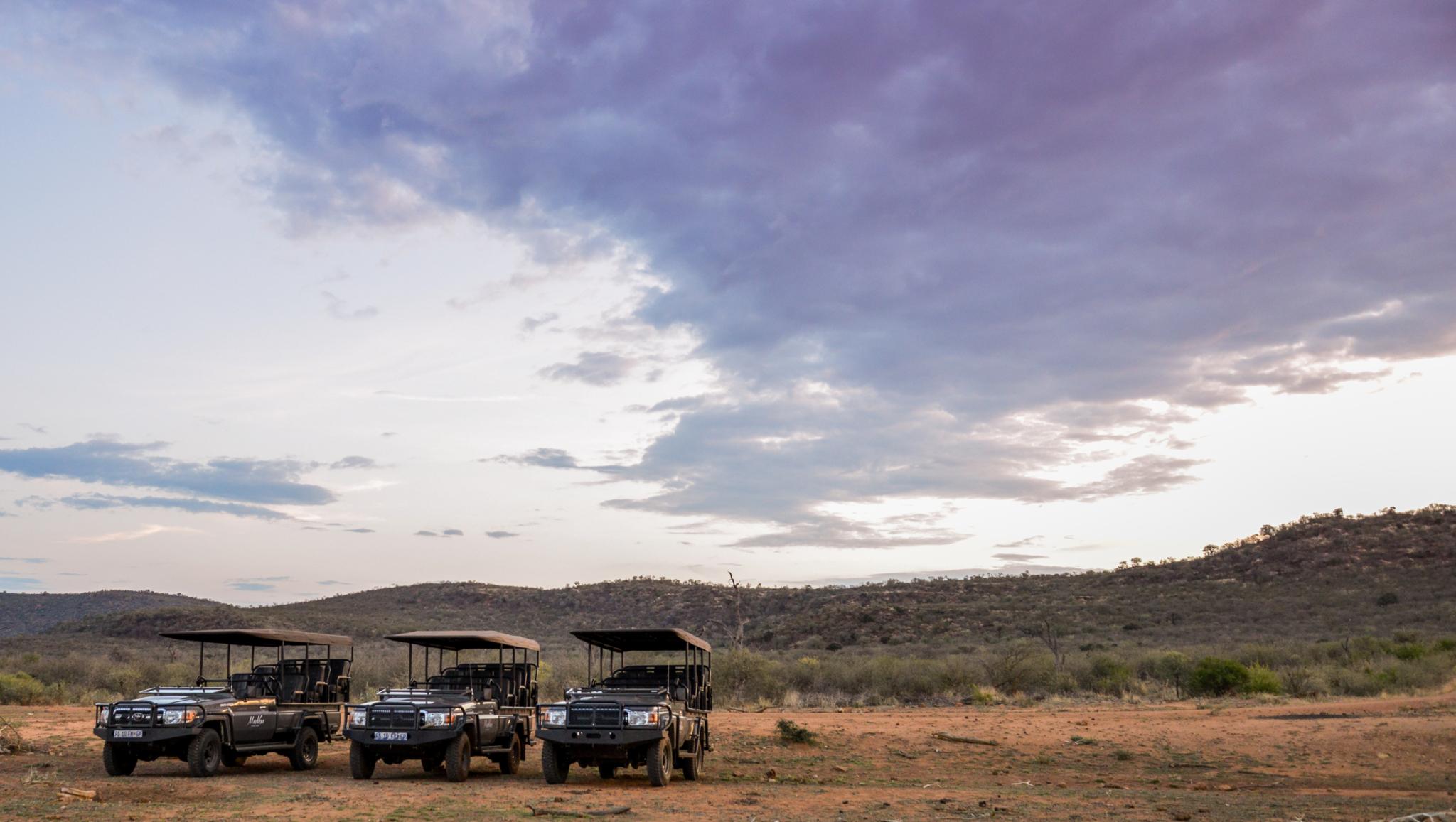 Madikwe Safari Lodge Madikwe Game Reserve Eksteriør bilde
